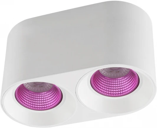 DK3096-WH+PI Накладной точечный светильник Denkirs DK3096-WH+PI (220V)