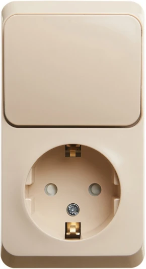 BPA16-201K Розетка накладная с заземлением с одноклавишным выключателем (кремовый) Systeme Electric BPA16-201K