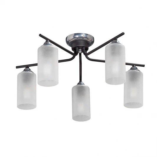 V4753-1/5PL Потолочная люстра Vitaluce V4753-1/5PL