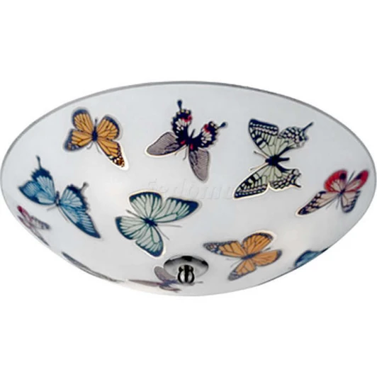 105432 Настенно-потолочный светильник Markslojd Butterfly 105432