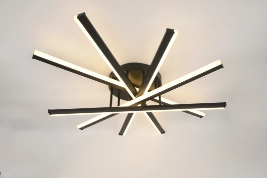 6181-201 Потолочная люстра светодиодная с пультом Rivoli Aurora 6181-201 (регулировка яркости, 220V)