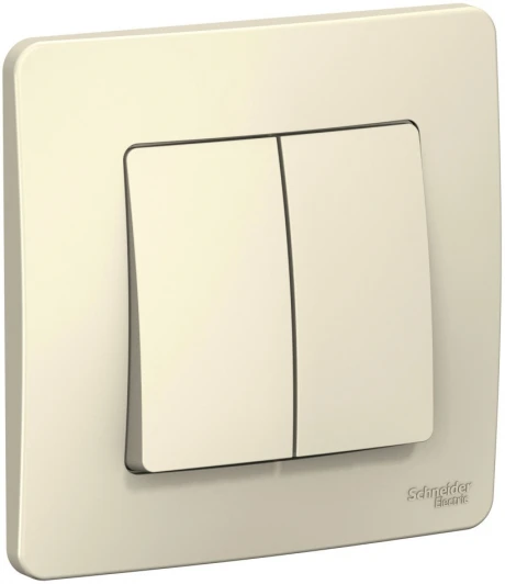 BLNVS106602 Выключатель встраиваемый двухклавишный (молочный) Systeme Electric Blanca BLNVS106602