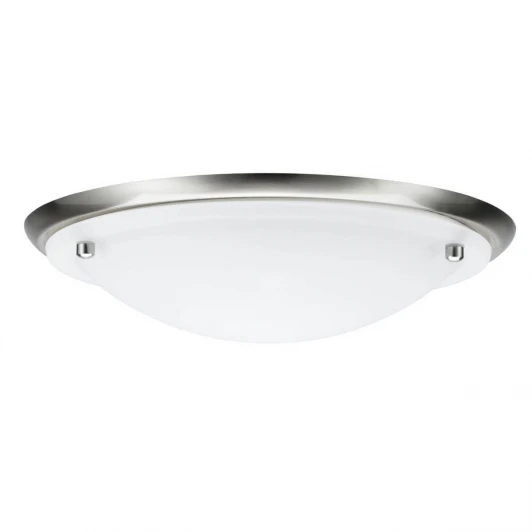 70344 Настенно-потолочный светильник Paulmann Arctus 70344