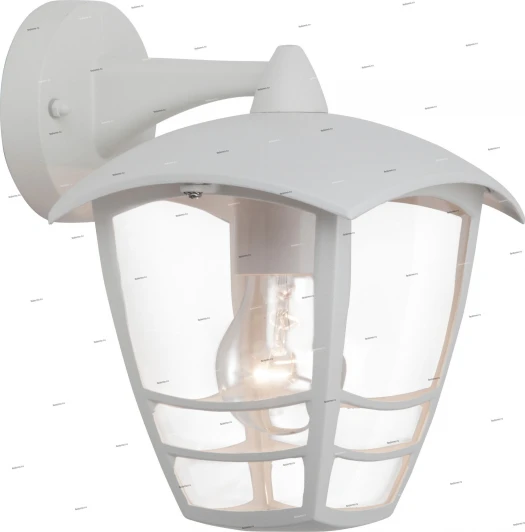 43382/05 Бра уличное Brilliant Riley, 1 плафон, белый, прозрачный