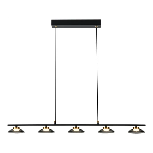 LSP-4017 Подвесной светильник Lussole LSP-4017