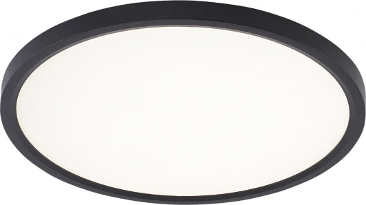 LED LAMPS 81114/3C Потолочный светильник светодиодный 24W, черный Natali Kovaltseva Plain LED LAMPS 81114/3C