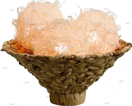 2500648/3T Snowlight 2500648 2500648/3T