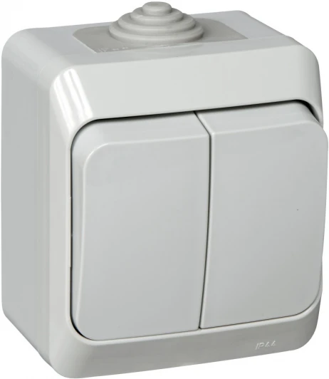 BA10-042C Выключатель накладной двухклавишный (серый) IP44 Systeme Electric BA10-042C