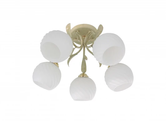 1531/5C Потолочная люстра J-Light Kally 1531/5C