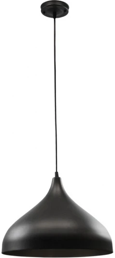 A7076SP-1BK Подвесной светильник Arte Lamp Carmel A7076SP-1BK (220V, на проводе)