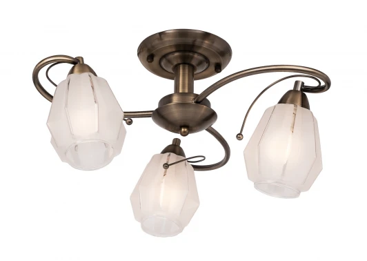 506.53.3 Потолочная люстра Silver Light Brazil 506.53.3