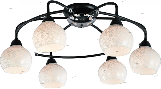 016/6PL Myone 016 016/6PL