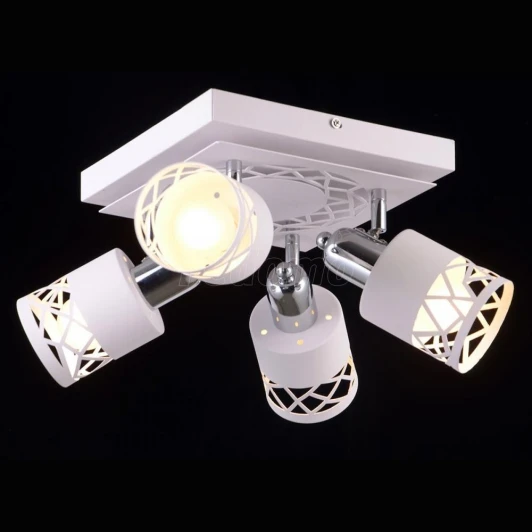 ESSEN 81062-4C STAIN GRAY Спот Essen ESSEN 81062-4C STAIN GRAY