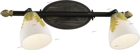 2146/2W Спот Odeon Light Canto 2146/2W
