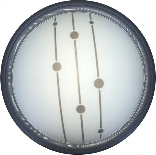 TL1127-1Y Настенно-потолочный светильник Toplight Polly TL1127-1Y