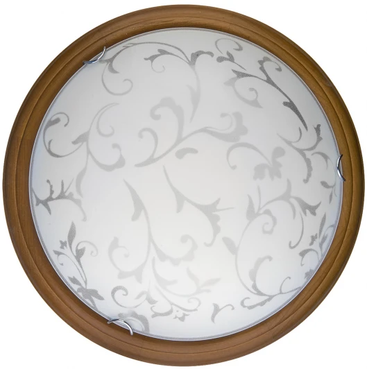 TL9530Y-00OA Настенно-потолочный светильник Toplight Daniela TL9530Y-00OA