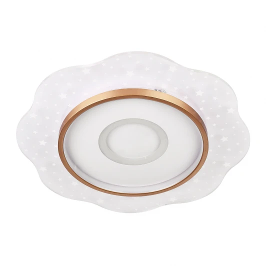 L1028-500 WH-GD Потолочный светильник светодиодный с пультом с регулировкой цветовой температуры и яркости LED4U LED4U L1028-500 WH-GD