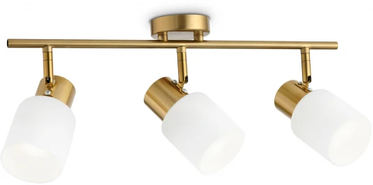 TR3972 Спот на штанге Ambrella TRADITIONAL TR3972 (220V)