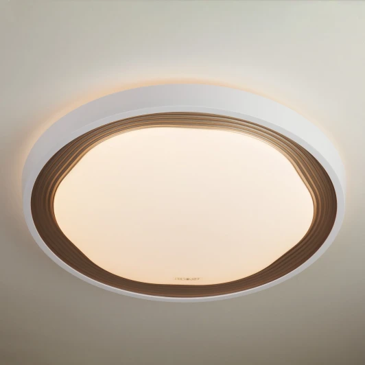 40006/1 LED кофе Потолочный светильник Elektrostandard Range 40006/1 LED кофе