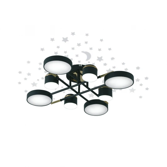 51632 7 Потолочная люстра на штанге светодиодная с ДУ Ritter Notte 51632 7