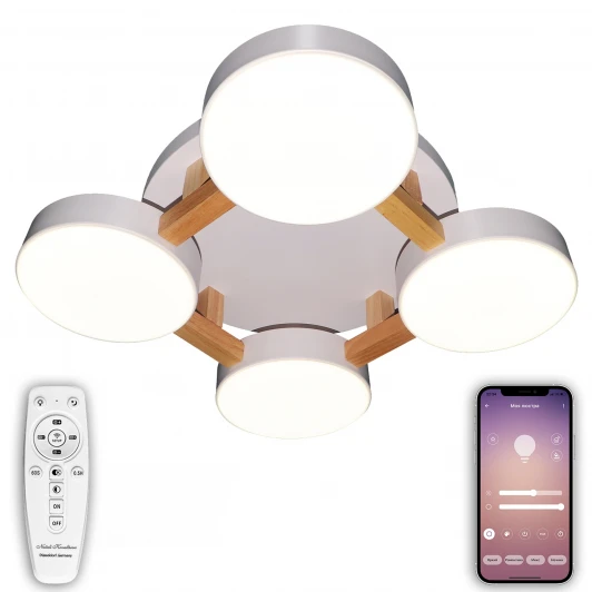 LED LAMPS 81325 Потолочная люстра Natali Kovaltseva LED LAMPS 81325