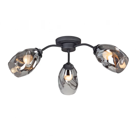 V4936-1/3PL Потолочная люстра Vitaluce V4936-1/3PL (220V)