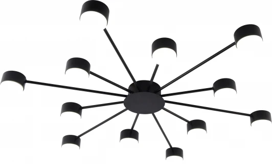 3184-312 Потолочная люстра Rivoli Leona 3184-312 12хGX53 15 Вт