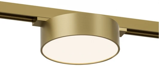 DK5762-SB Трековый светильник для магнитного шинопровода Denkirs Shine Flow DK5762-SB 48V 8W сатинированная латунь (LED, круглые)