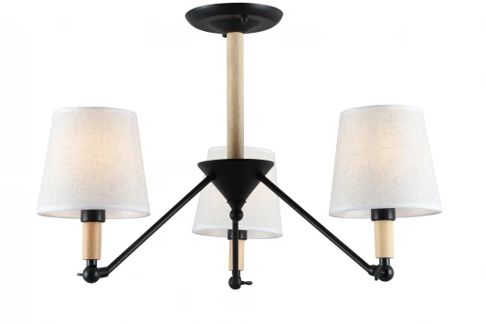 2048-303 Потолочная люстра Rivoli Buono 2048-303