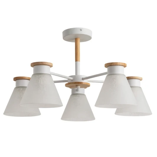 A1031PL-5WH Потолочная люстра Arte Lamp Tyler A1031PL-5WH