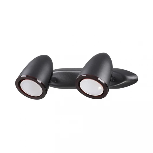 3824/2W Спот Odeon Light Imagio 3824/2W