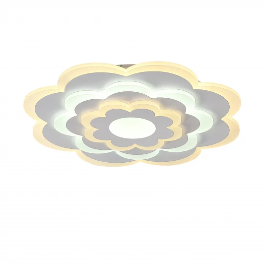 2286-5C Потолочный светильник F-Promo Ledolution 2286-5C