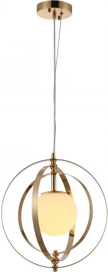 V000271 Подвесной светильник Trevi V000271 (13013/1P Gold) (220V, на тросе)