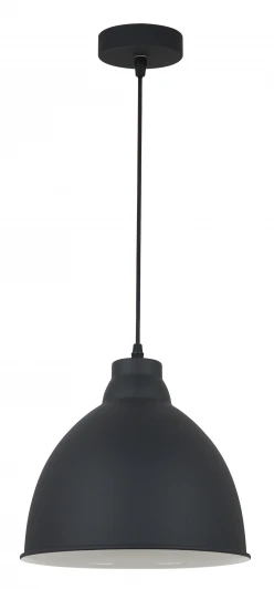A2055SP-1BK Подвесной светильник Arte Lamp Braccio A2055SP-1BK