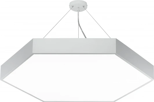 SPO-122-W-40K-066 Подвесной светильник светодиодный ЭРА SPO-122-W-40K-066 d (220V, на тросе, IP40)