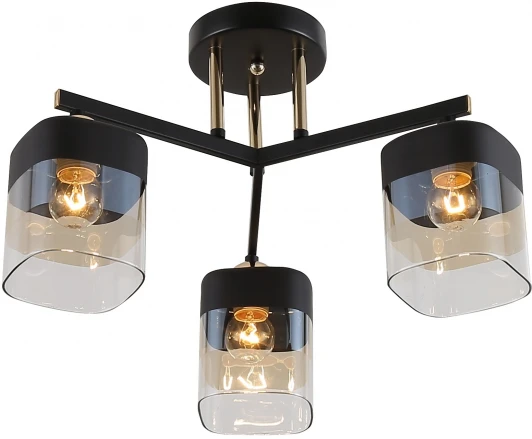 9133-303 Потолочная люстра на штанге Rivoli Isadora 9133-303 (220V)