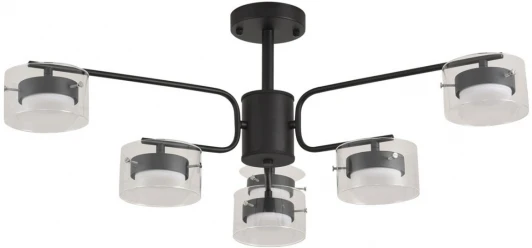 8349/6C Потолочная люстра на штанге Lumion Natalina 8349/6C черный/прозрачный, металл/стекло LED GX53 6*7W 220V
