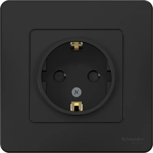 BLNRS001116 Розетка встраиваемая с заземлением и шторками (антрацит) Systeme Electric Blanca BLNRS001116