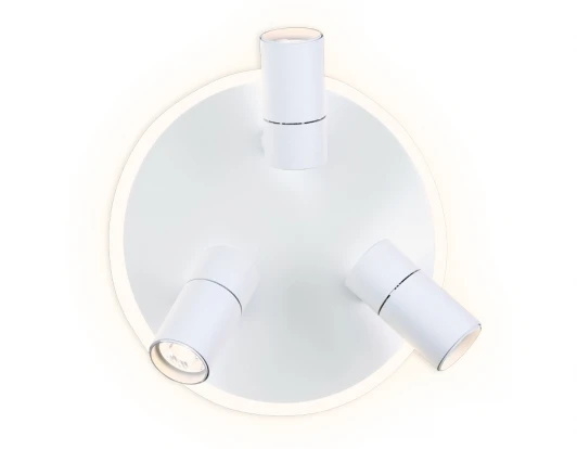 FW261 Спот Ambrella FW FW261