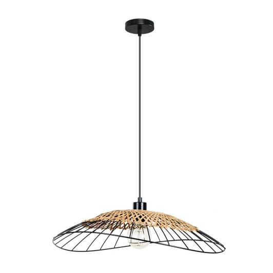 A7061SP-1BK Подвесной светильник Arte Lamp Woodstock A7061SP-1BK (220V, на проводе)