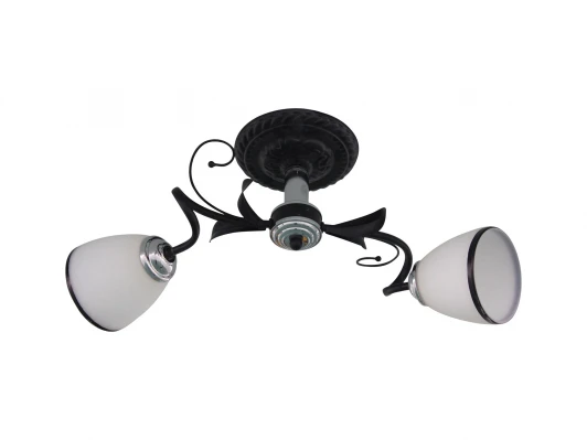 1520/2C Потолочная люстра J-Light Gera 1520/2C