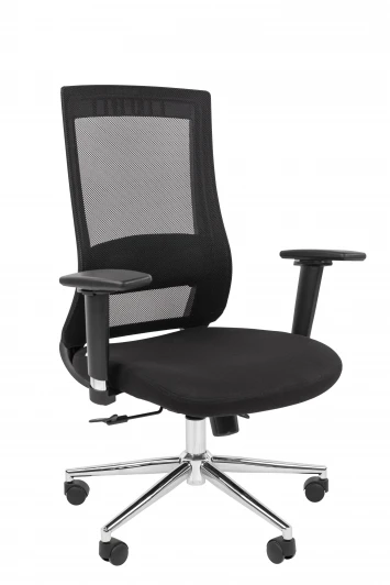 CHAIRMAN 500 ЛЮКС (LUX) Б/П Офисное кресло Chairman 500LUX Россия ткань T черный/TW-01 черный Б/П 7210648