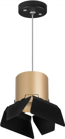 RP3490487 Подвесной светильник Lightstar Rullo RP3490487 (220V, на проводе)