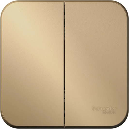 BLNVA105014 Выключатель накладной двухклавишный (титан) Systeme Electric Blanca BLNVA105014