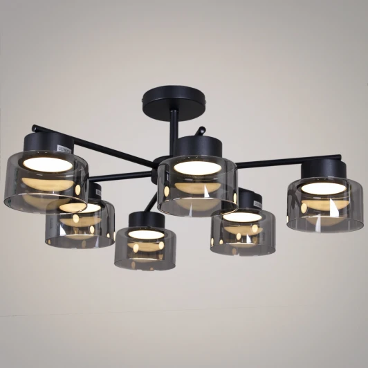 47010-0.3-06 BK Потолочная люстра на штанге Reluce 47010-0.3-06 BK