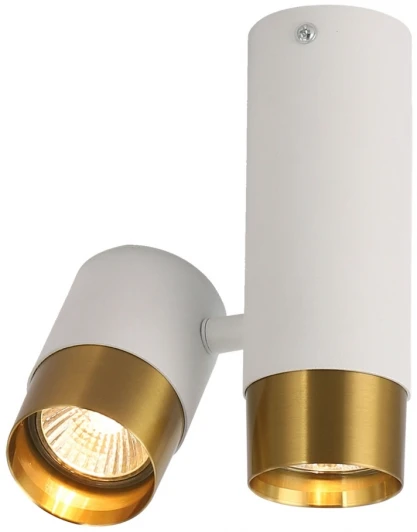 LSP-8829 Точечный светильник накладной Lussole Gilbert LSP-8829
