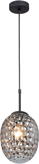 V2969-1/1S Подвесной светильник Vitaluce V2969-1/1S (220V, на проводе)