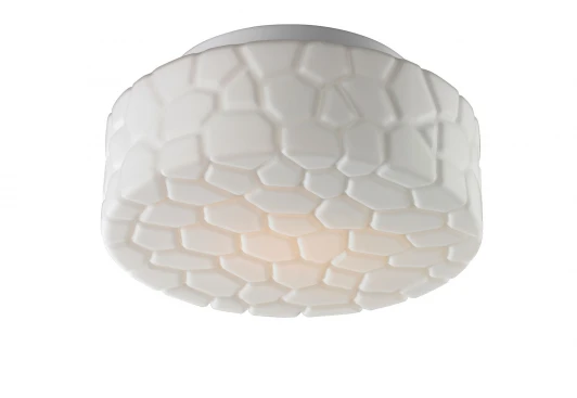 A5320PL-1WH Потолочный светильник Arte Lamp Aqua A5320PL-1WH
