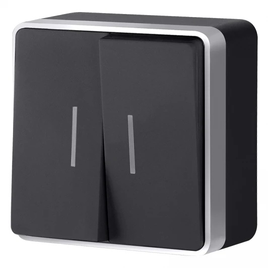W5020134 Выключатель двухклавишный с подсветкой Gallant Werkel W5020134 (черный с серебром)