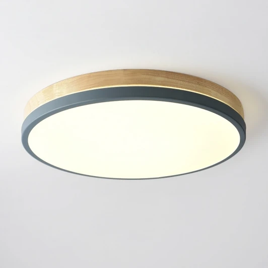 DISC-DH01 Потолочный светильник ImperiumLoft DISC-DH01